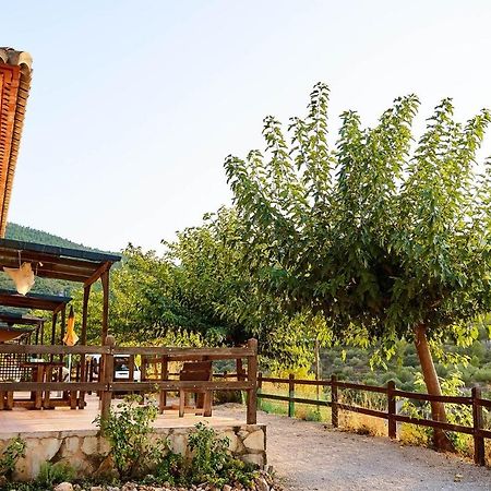 Casa Rural La Canal De Salem ภายนอก รูปภาพ